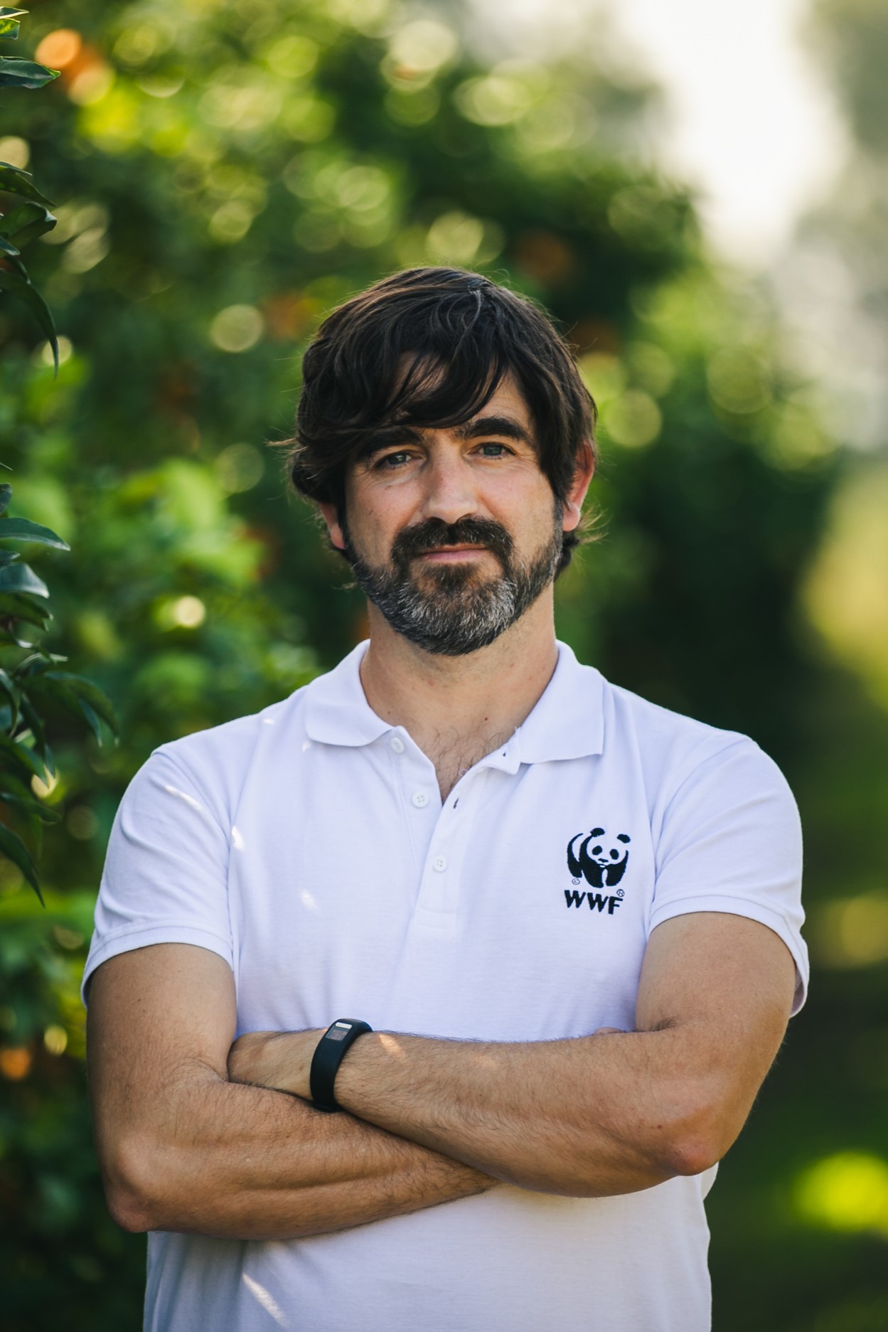 Felipe Fuentelsaz